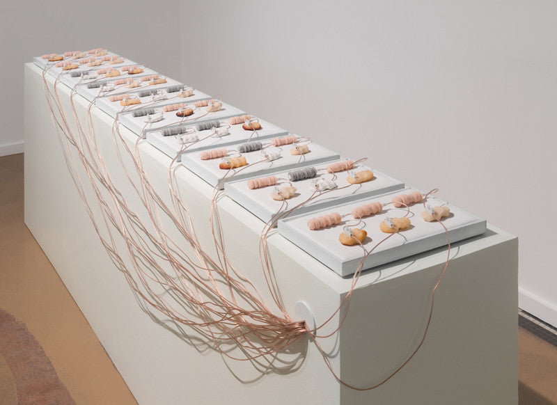 The Will to Synchronize