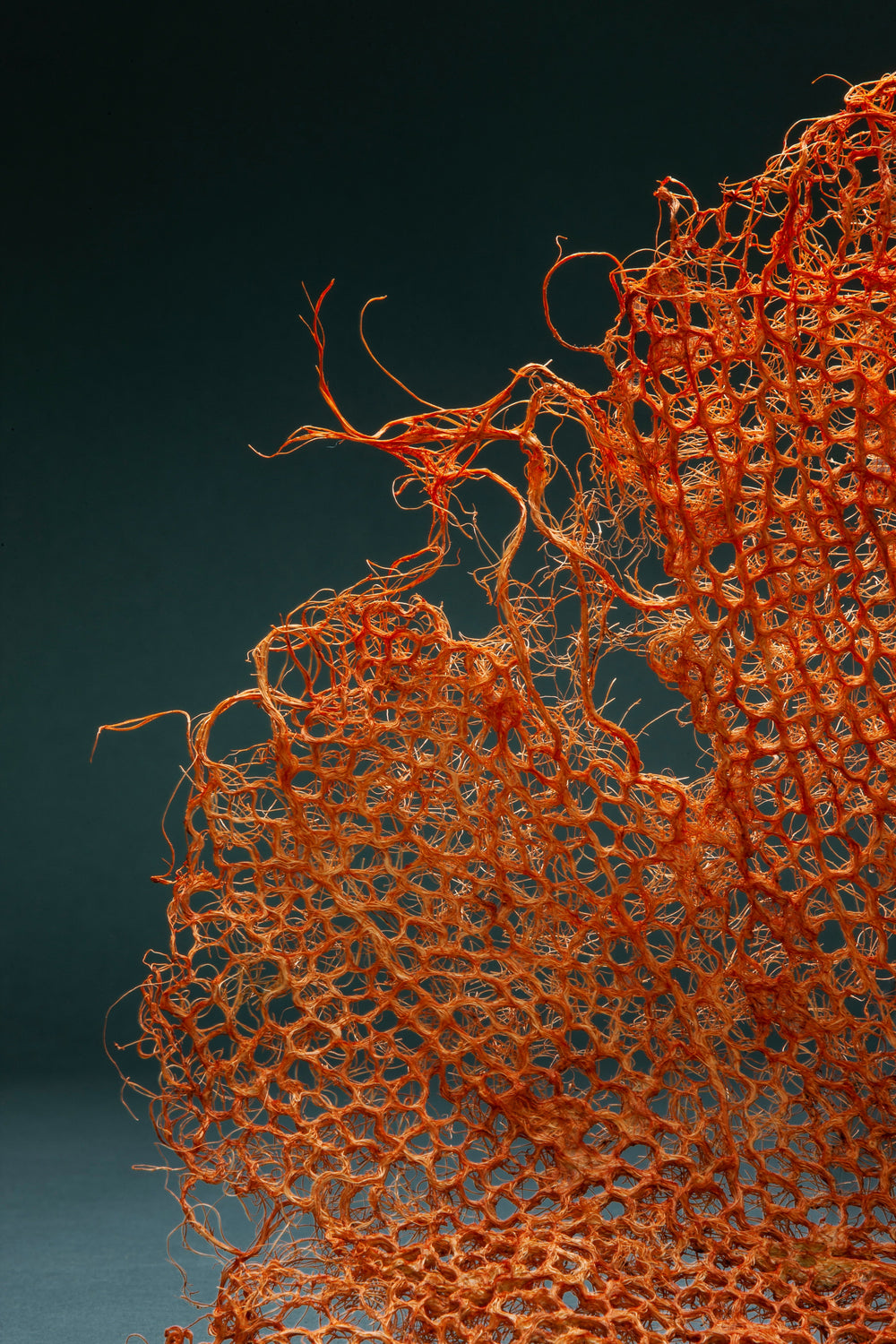 When roots become garments