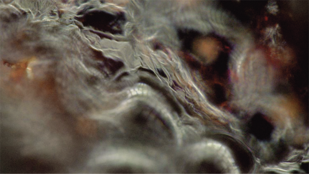 Garlic Heat: Where Agriculture Meets Fashion