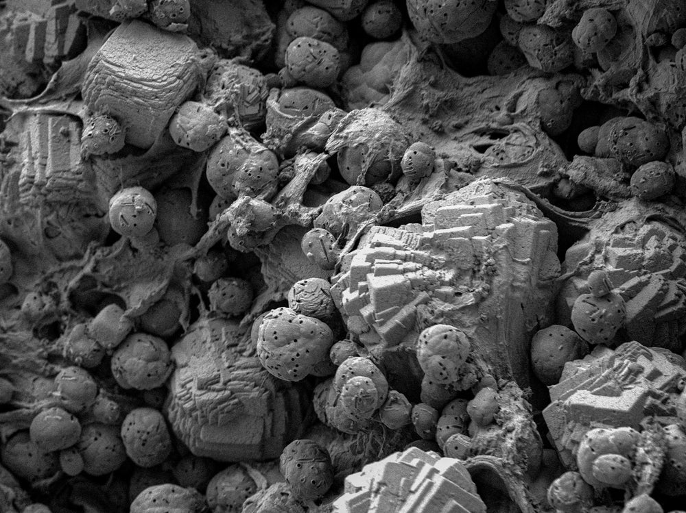 What if jewellery was grown?