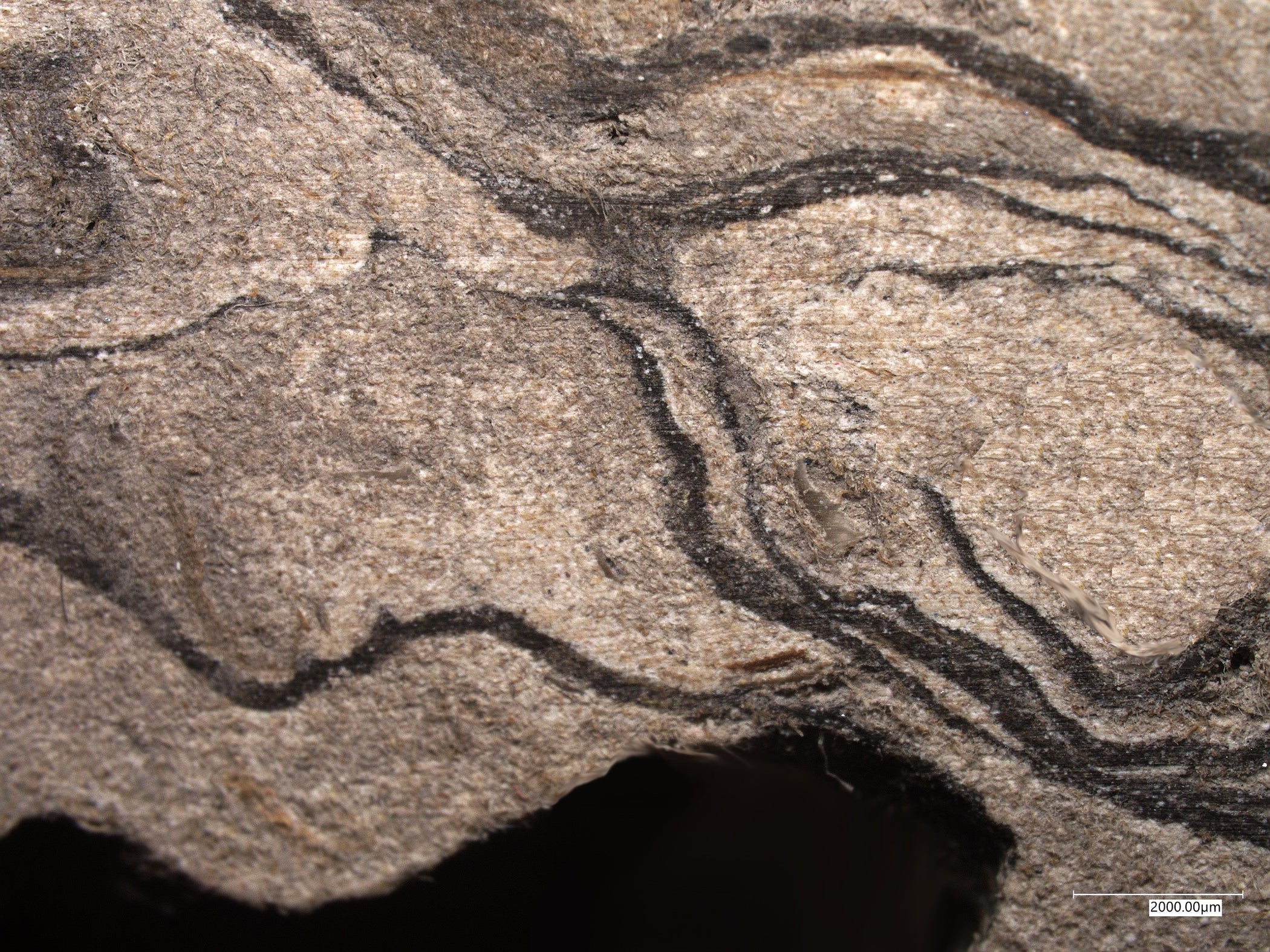 Layer by Layer: Building wood from waste