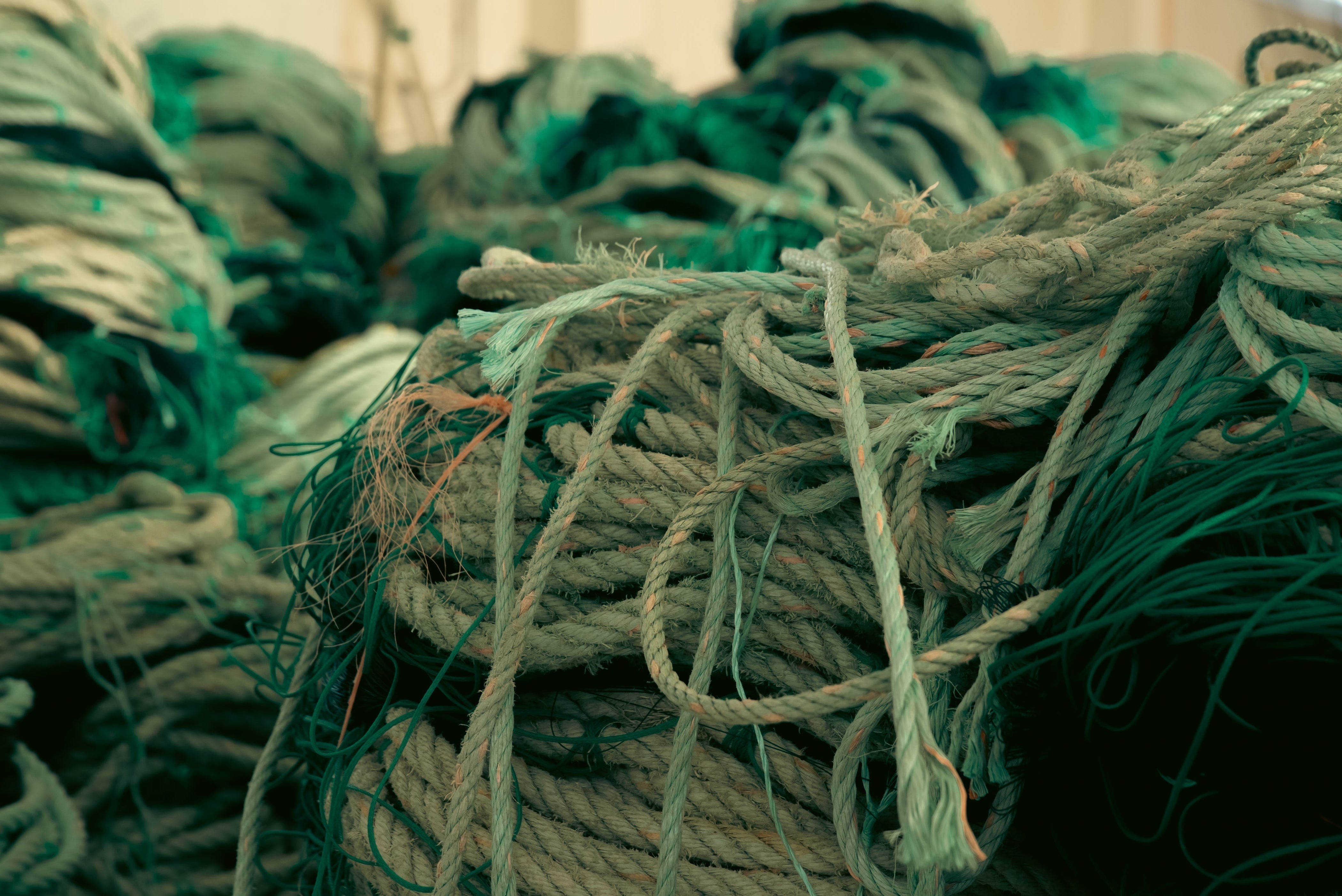 Our collaboration with Proxecto Bolina