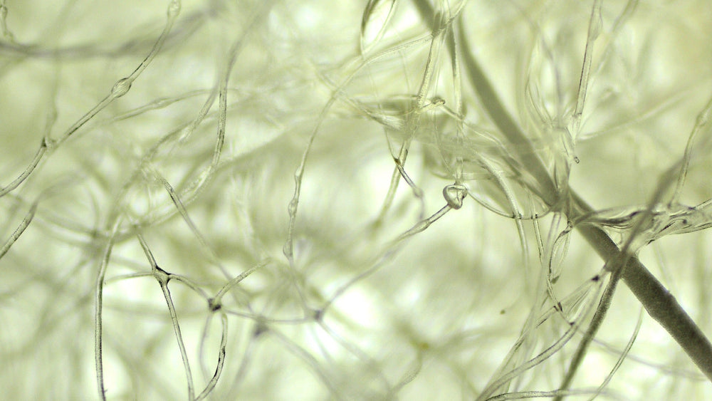 Cleaning harbours with discarded wool