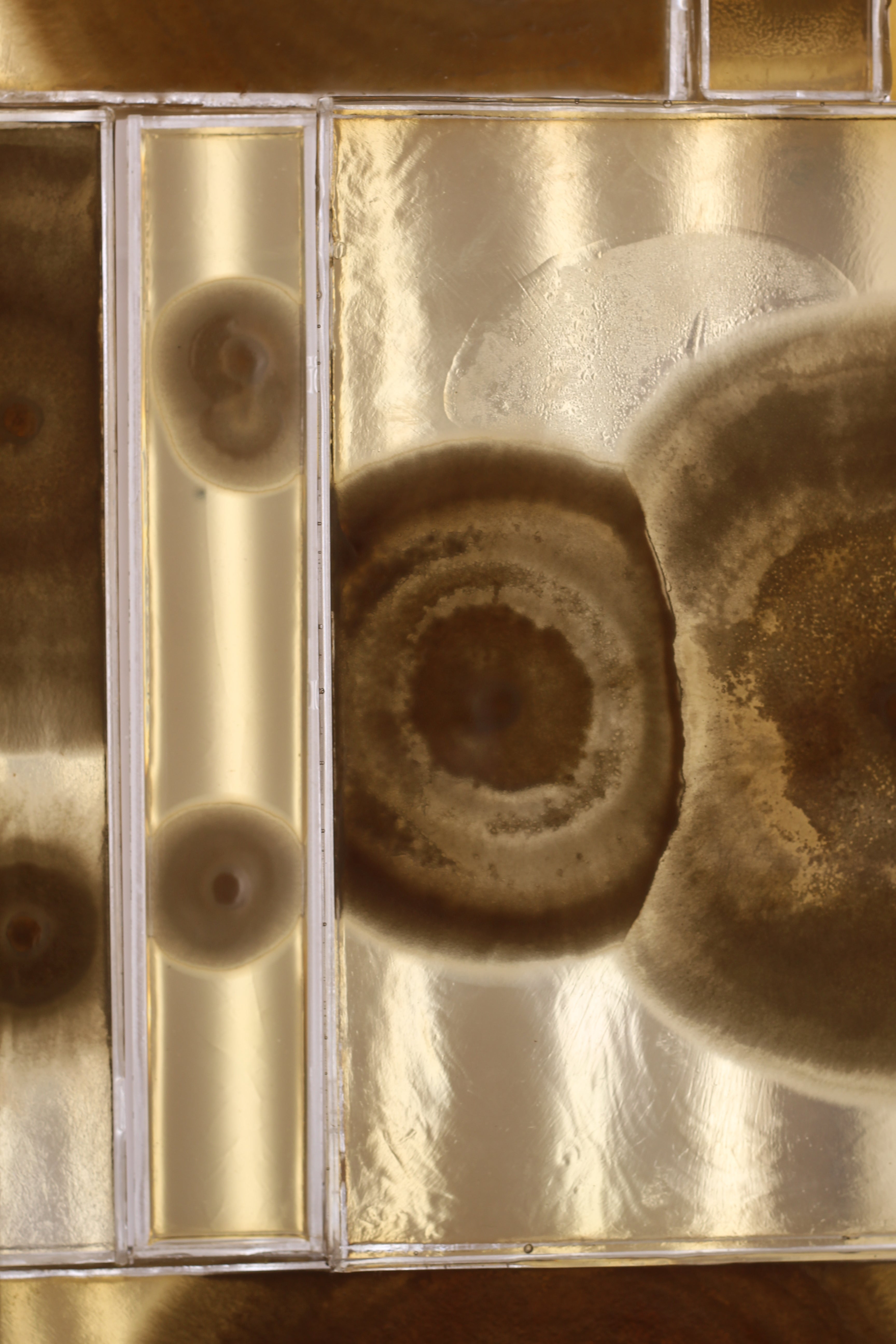 Surface Reflections: Highlights from London Design Biennale 2025