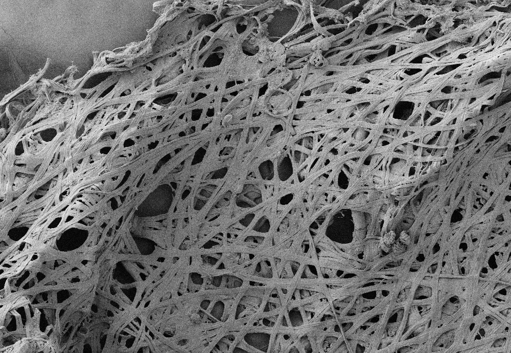 Nature’s secret glue