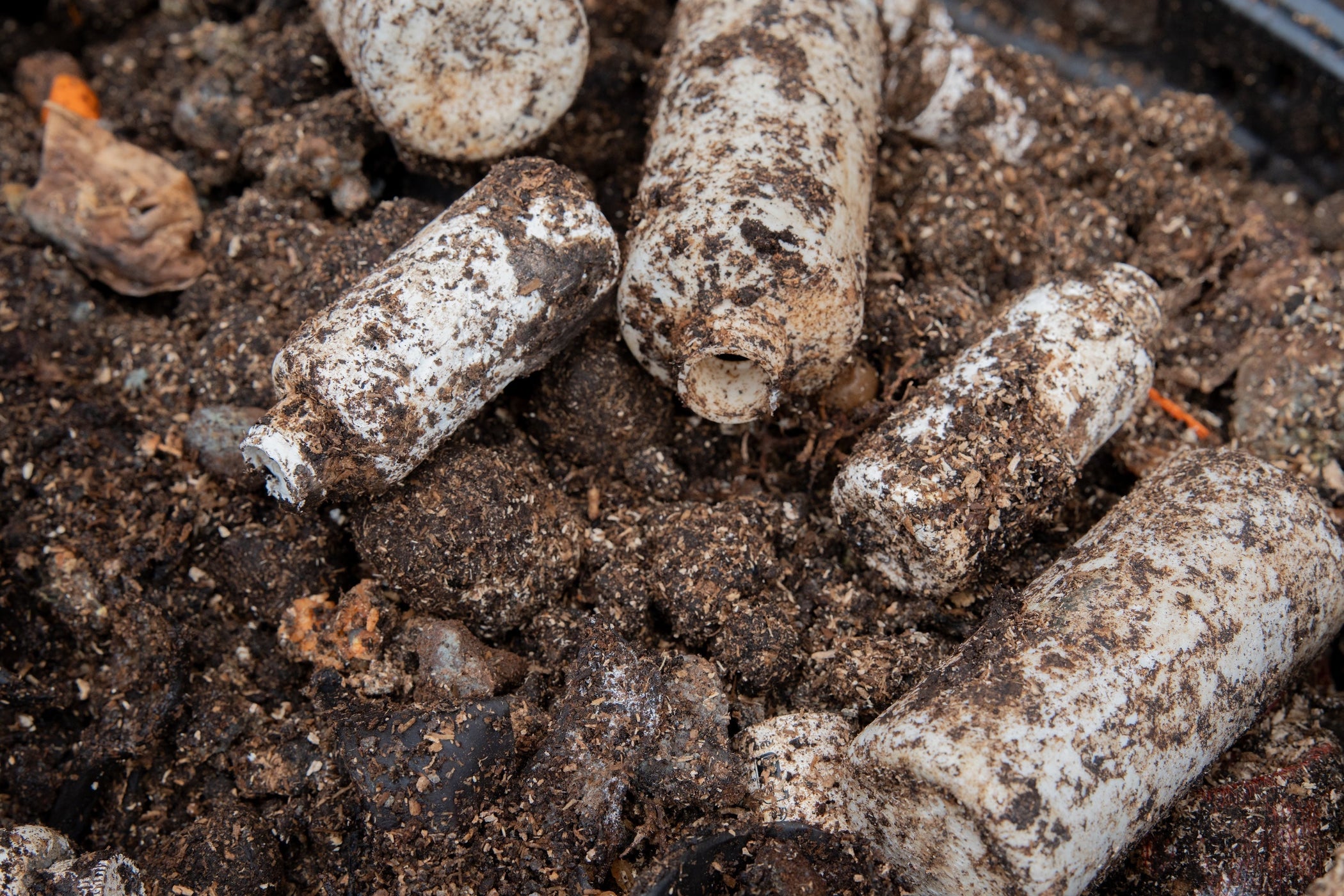 Our Trip to Shellworks