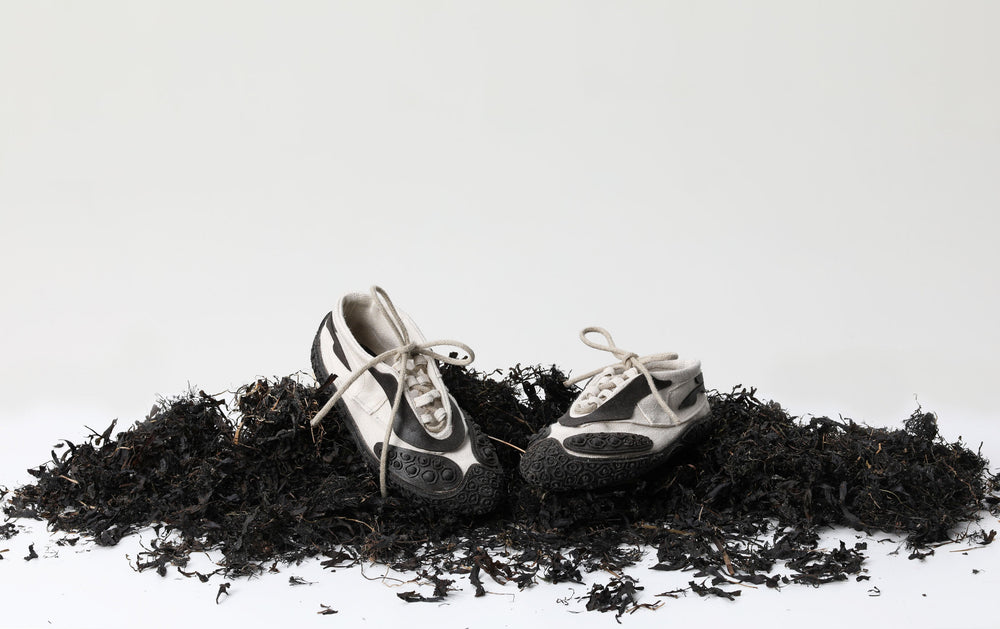 What if footwear became a tool for regeneration?