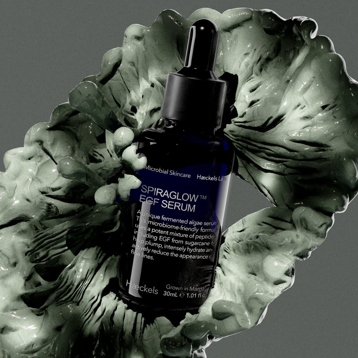 What is Haeckels Lab?