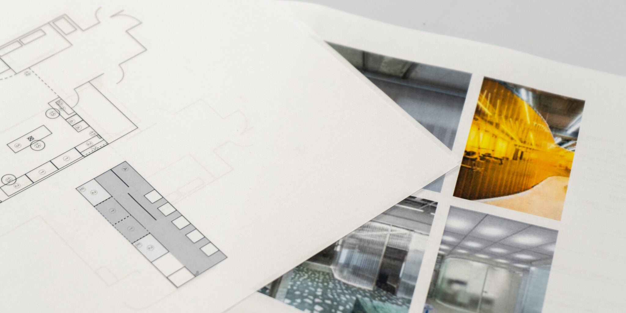 Haeckels – A Work in Progress