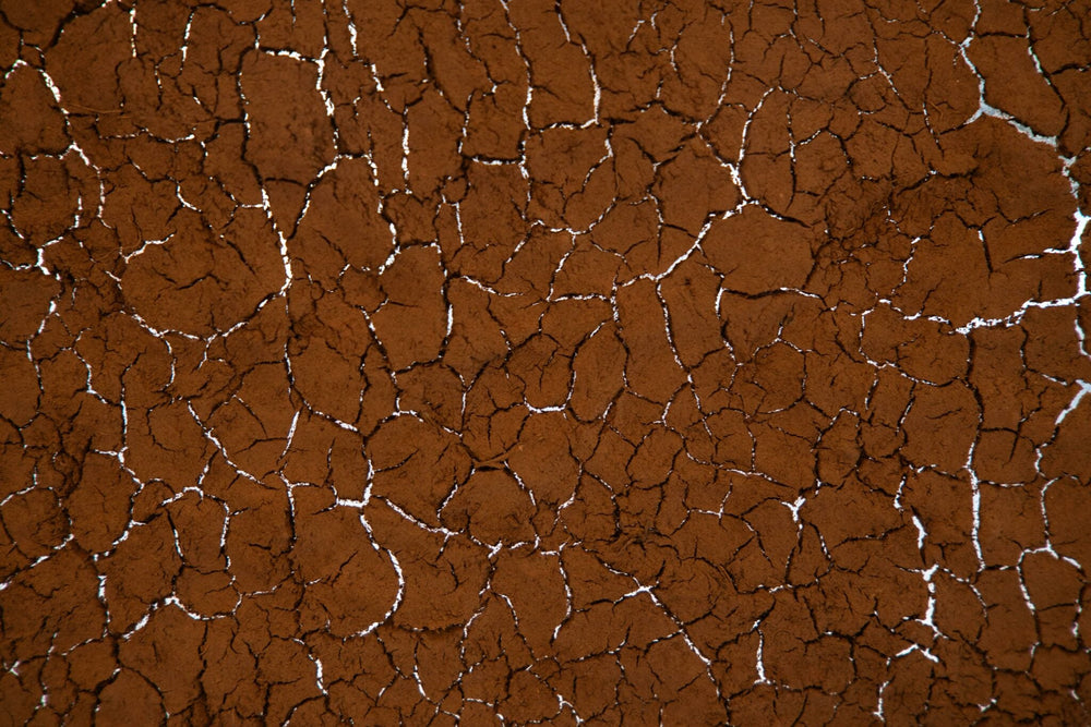 The Artists Behind London Craft Week x Haeckels