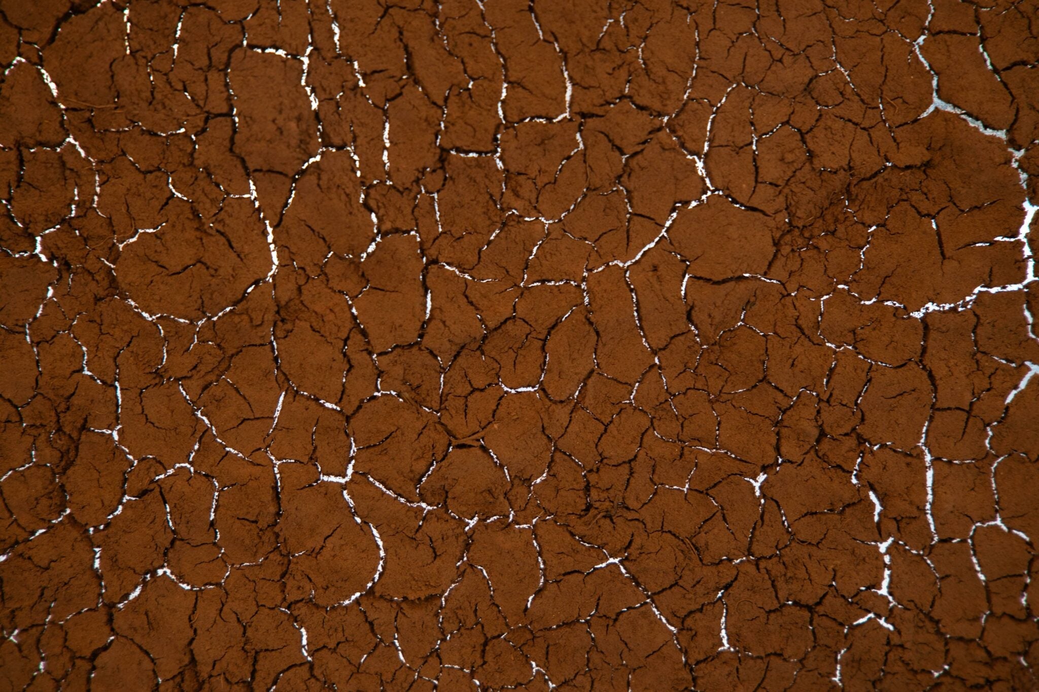 The Artists Behind London Craft Week x Haeckels