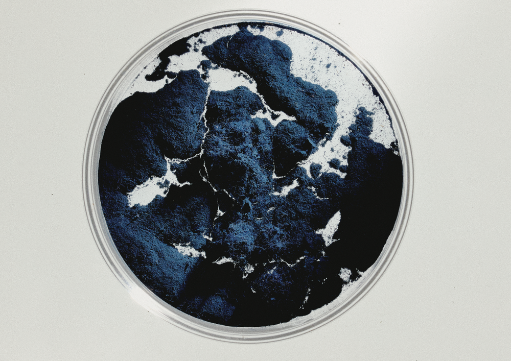 Giving indigo a second life