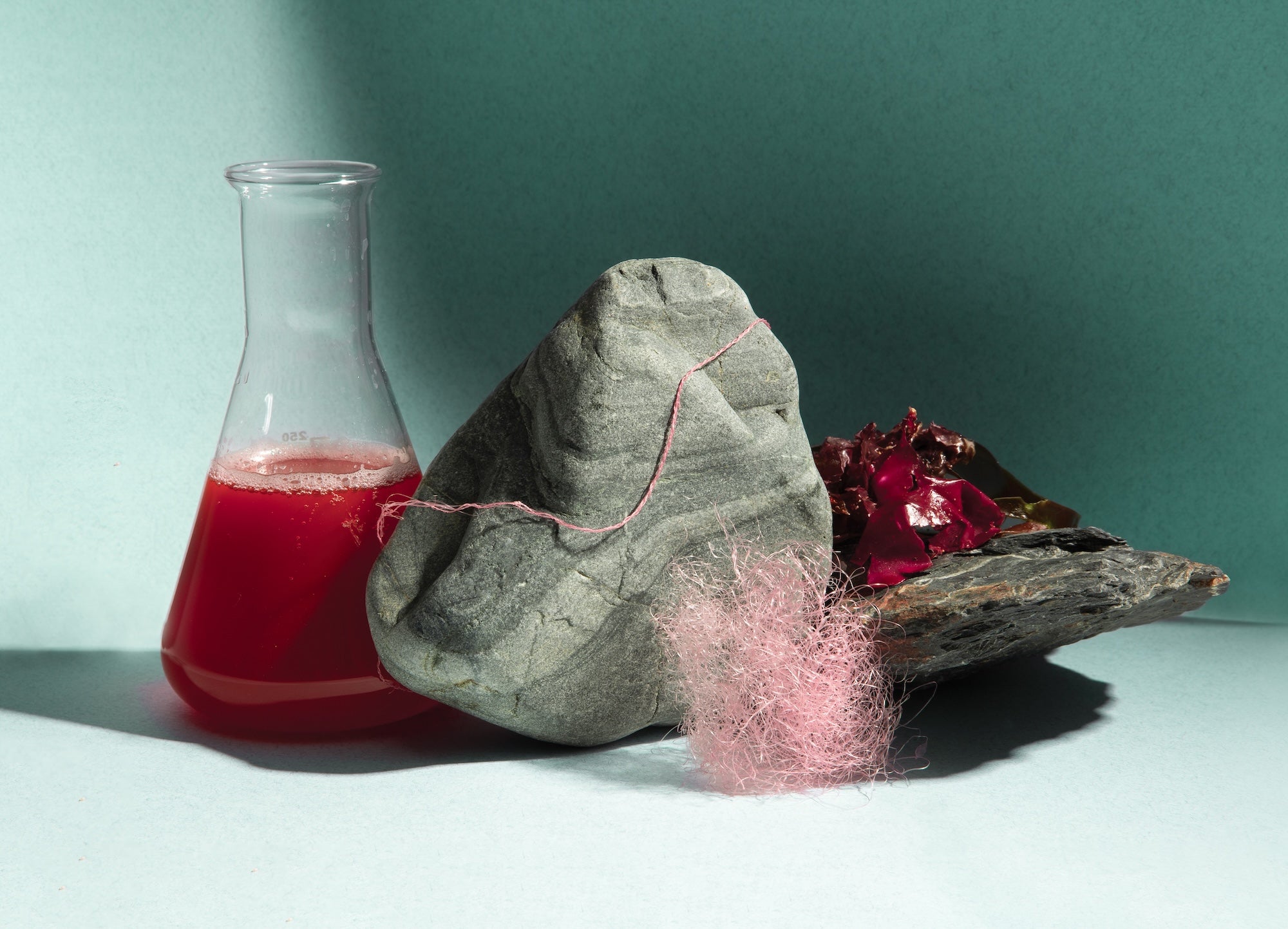 Seaweed that you can wear