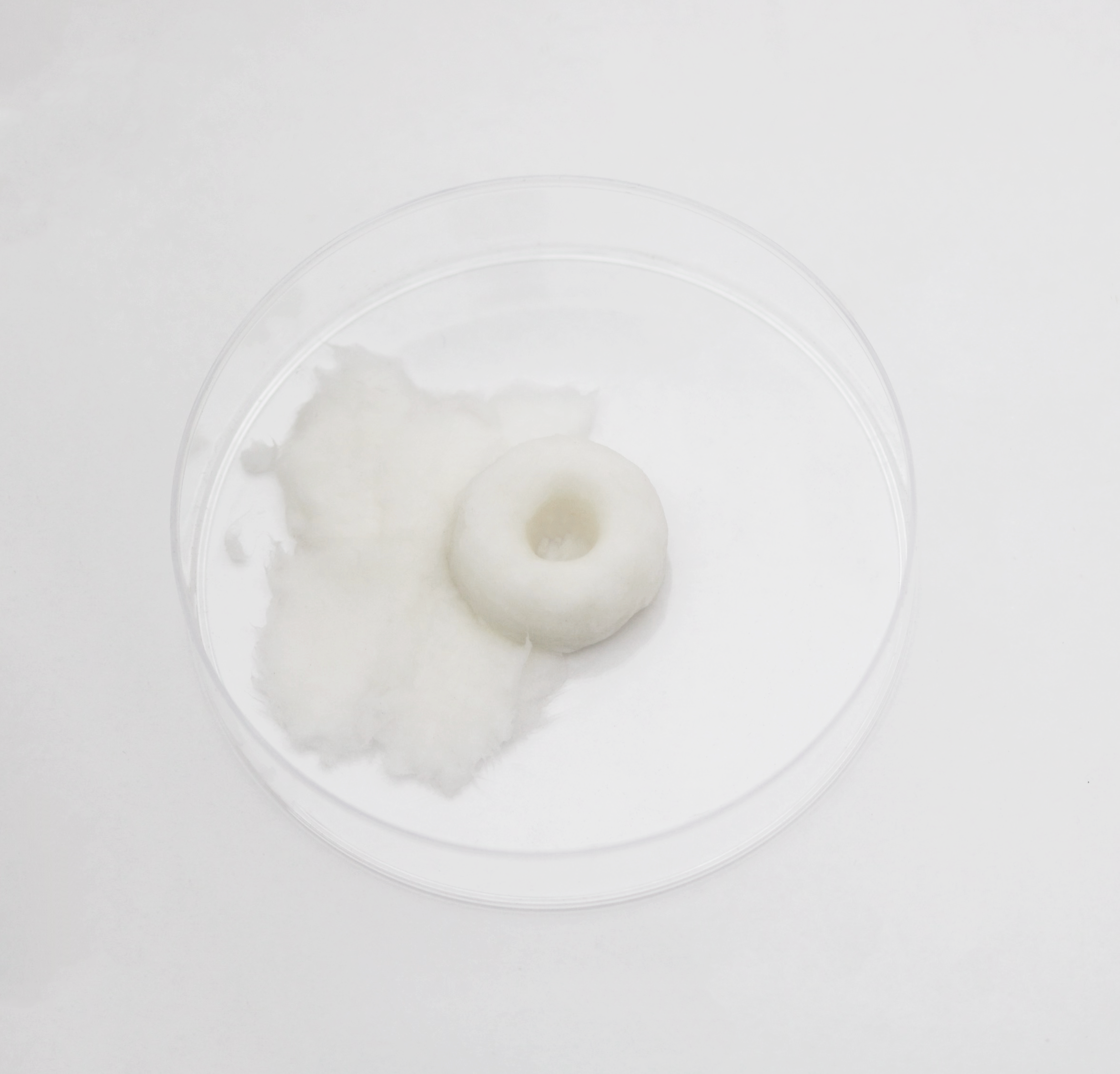 Making and unmaking with cellulose