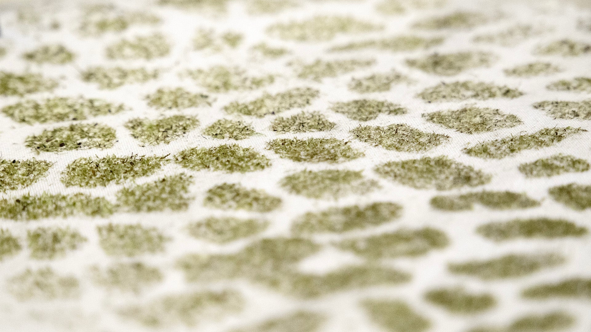 Living Art That Breathes