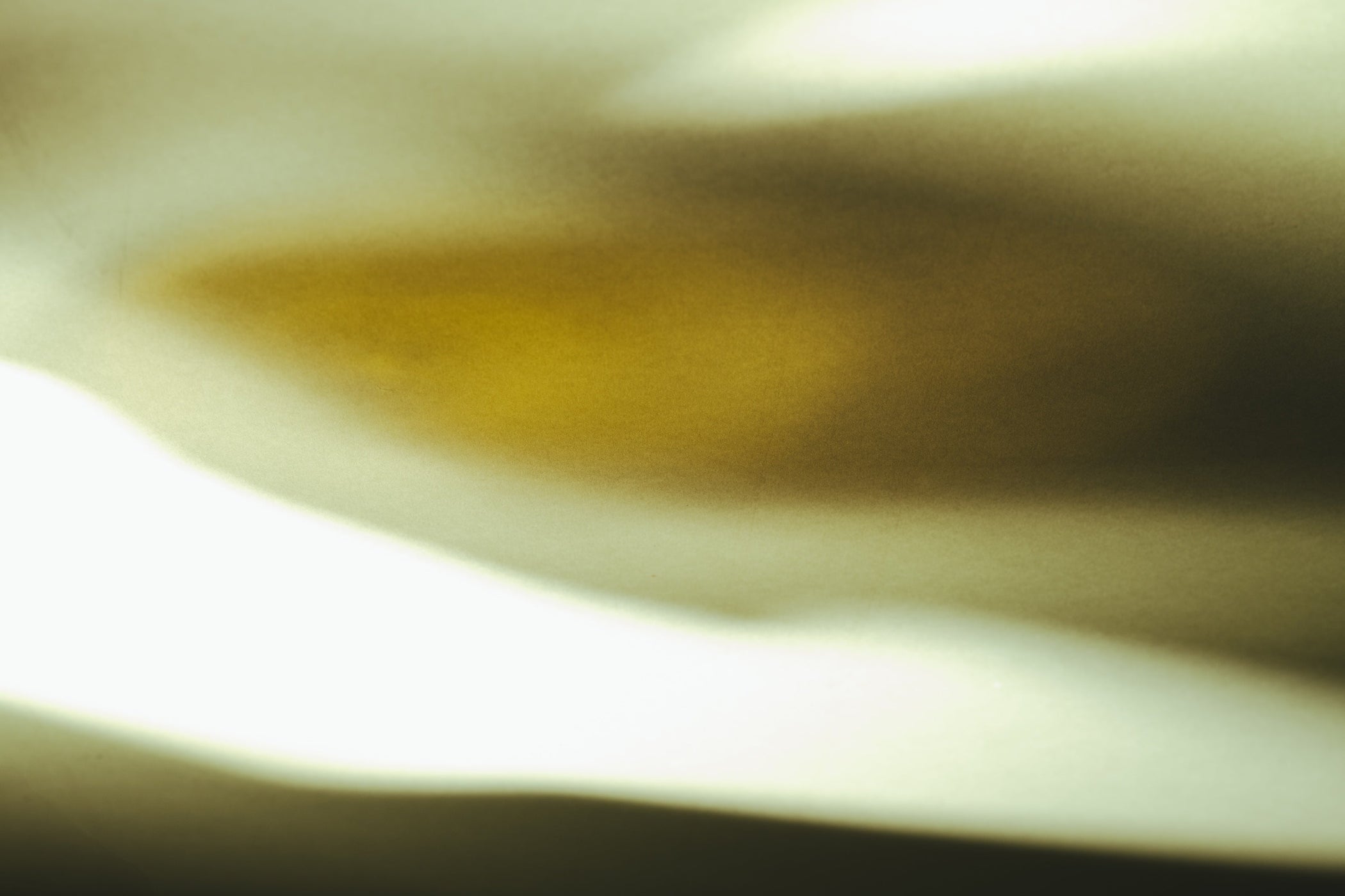 Reflections on Our Limited Edition Quarterly Box: The Art of Fermentation