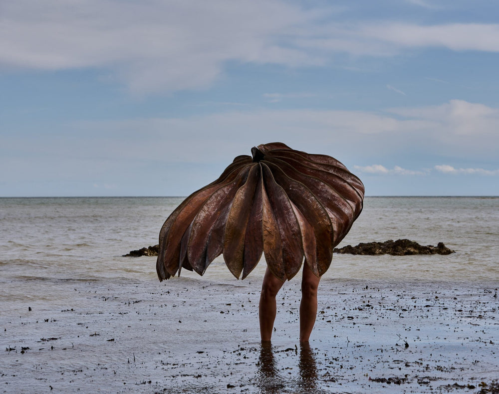 Exploring Interspecies Communication