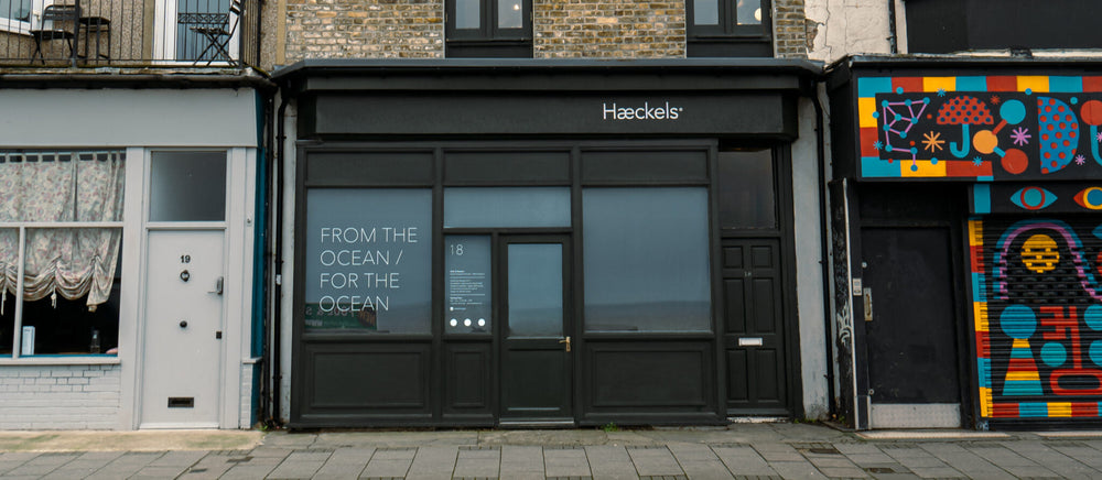 The uniqueness of the Haeckels Store