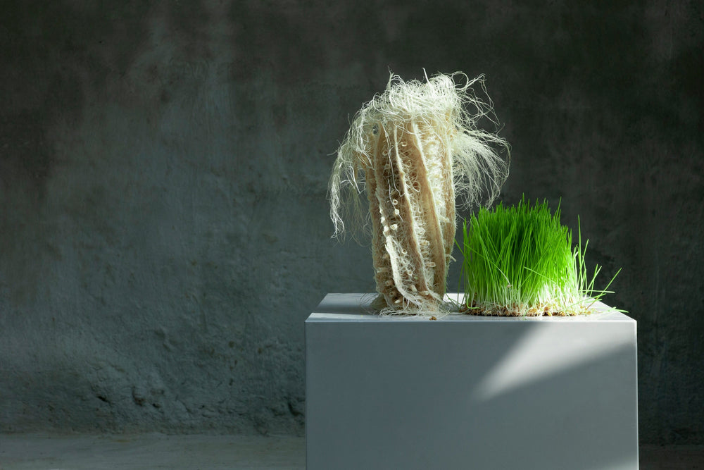 Rooted Design: The Art of Growing Design