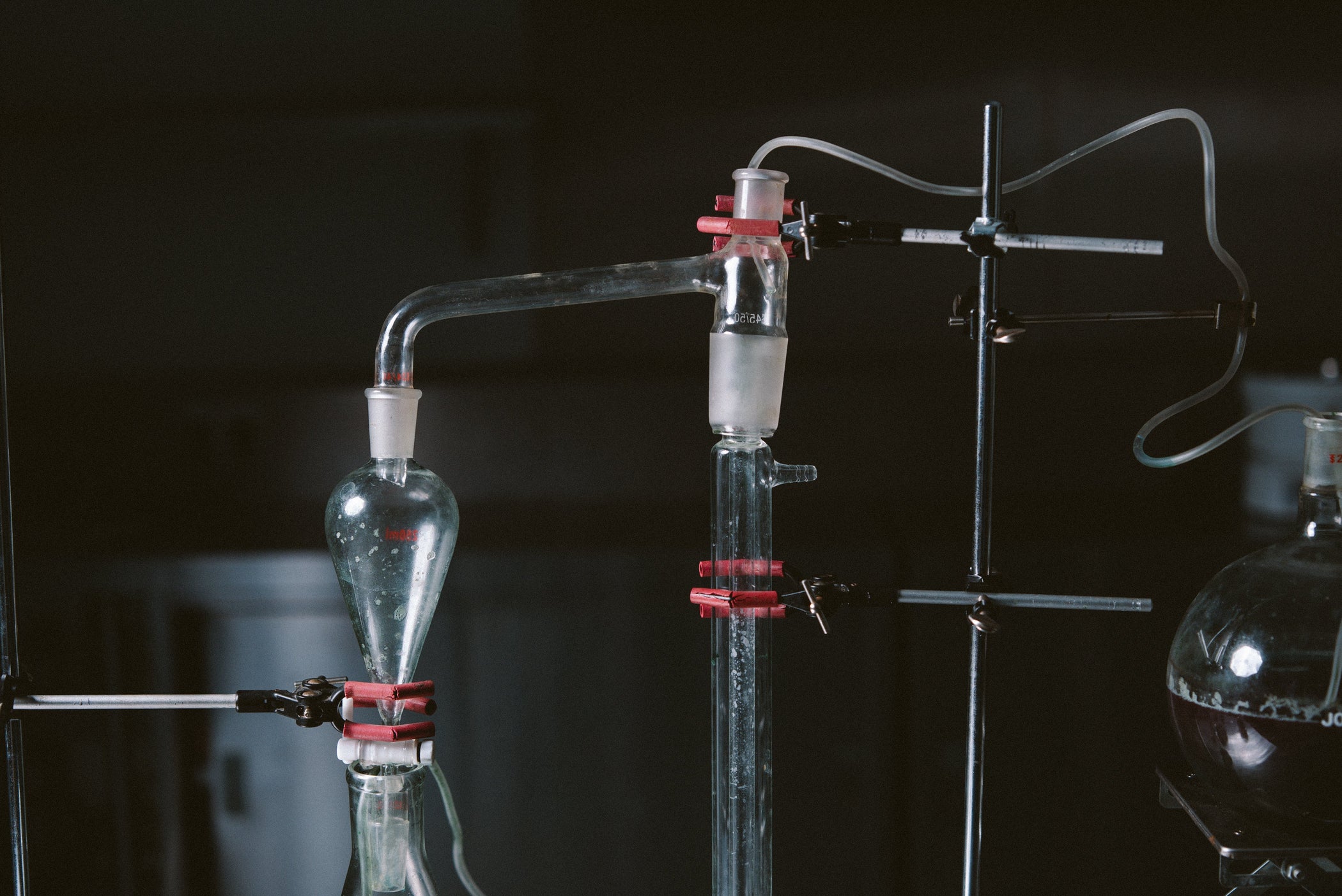 What are Lab Grown Ingredients?