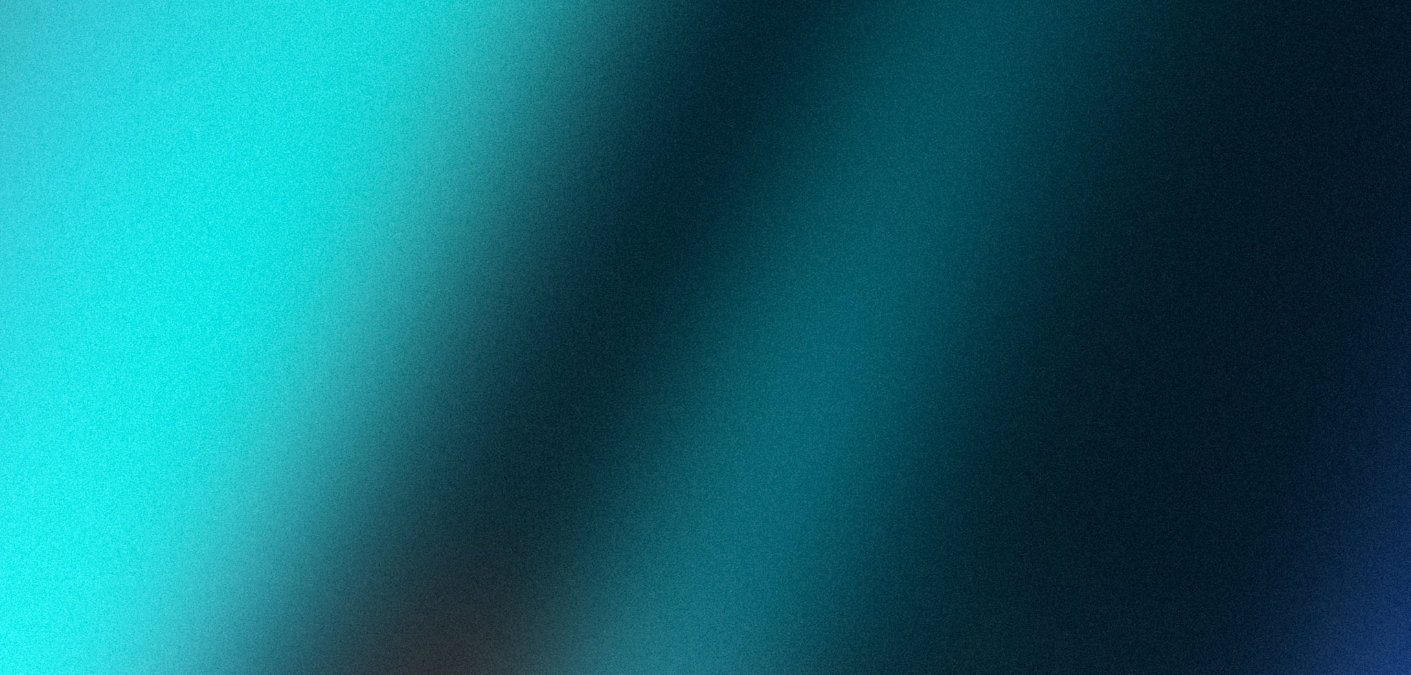 Anya Gallaccio: preserve - Turner Contemporary Gallery