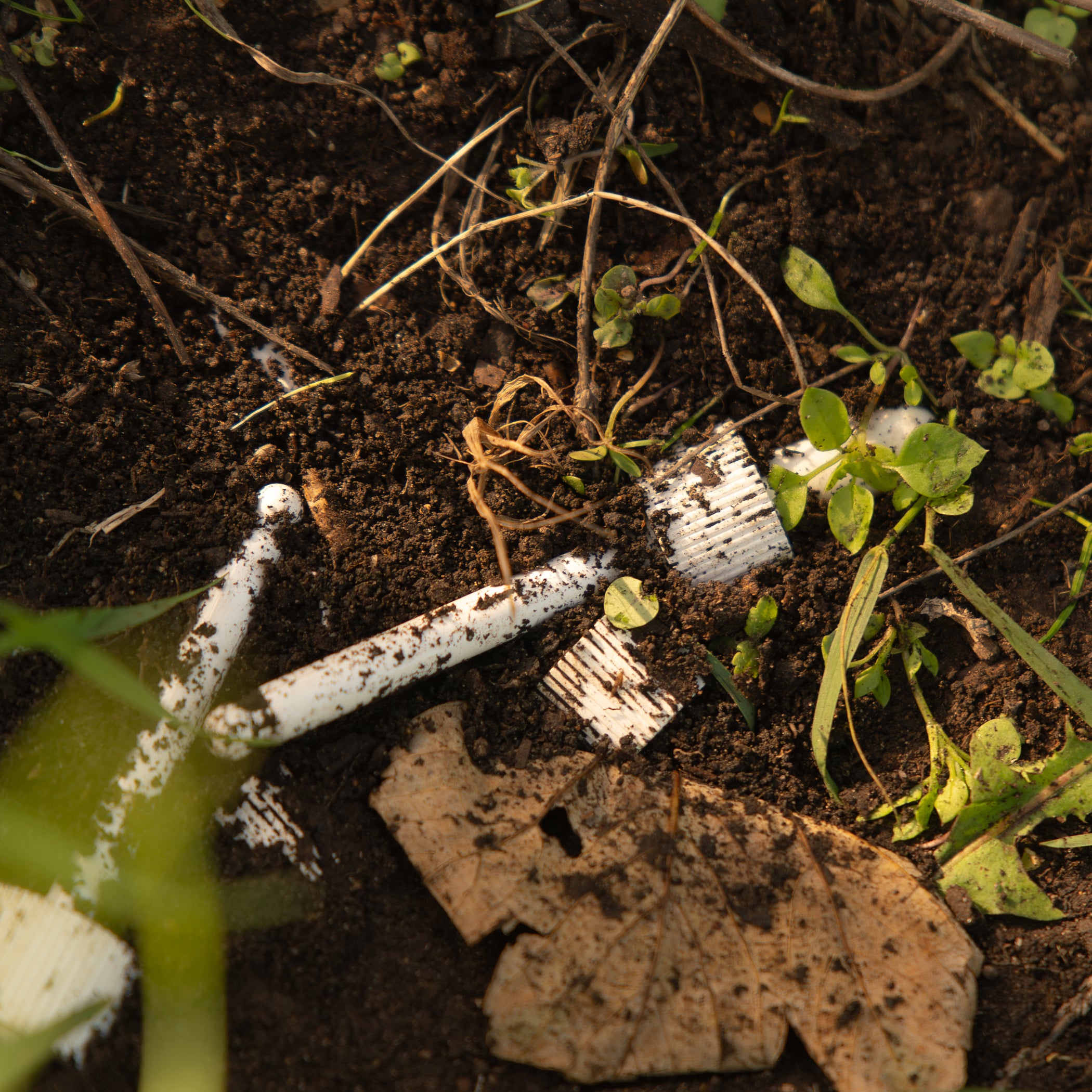 White packaging components on a soil surface with green plants