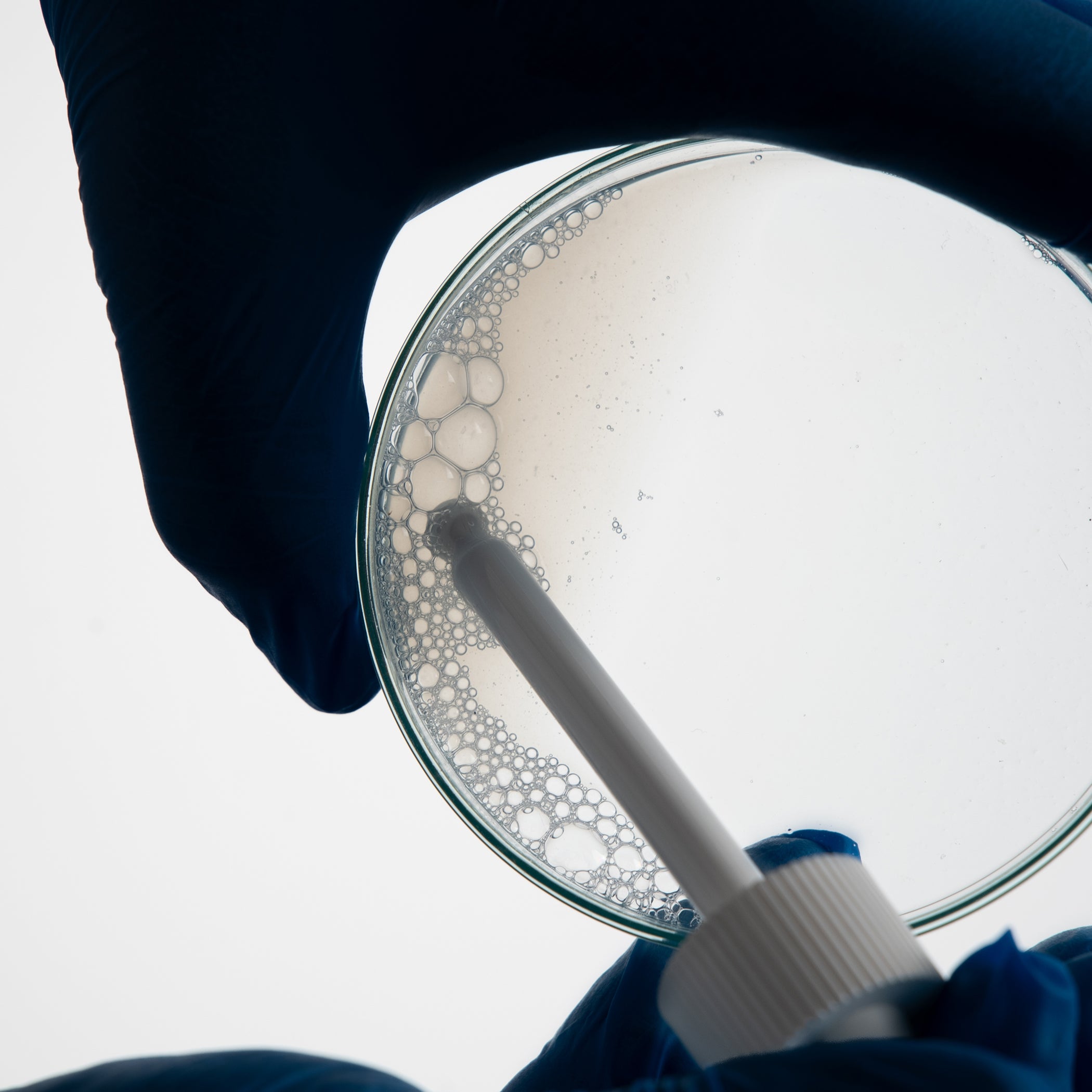 Two hands in blue gloves holding white dropper above petri dish with cloudy, bubbly liquid on white background