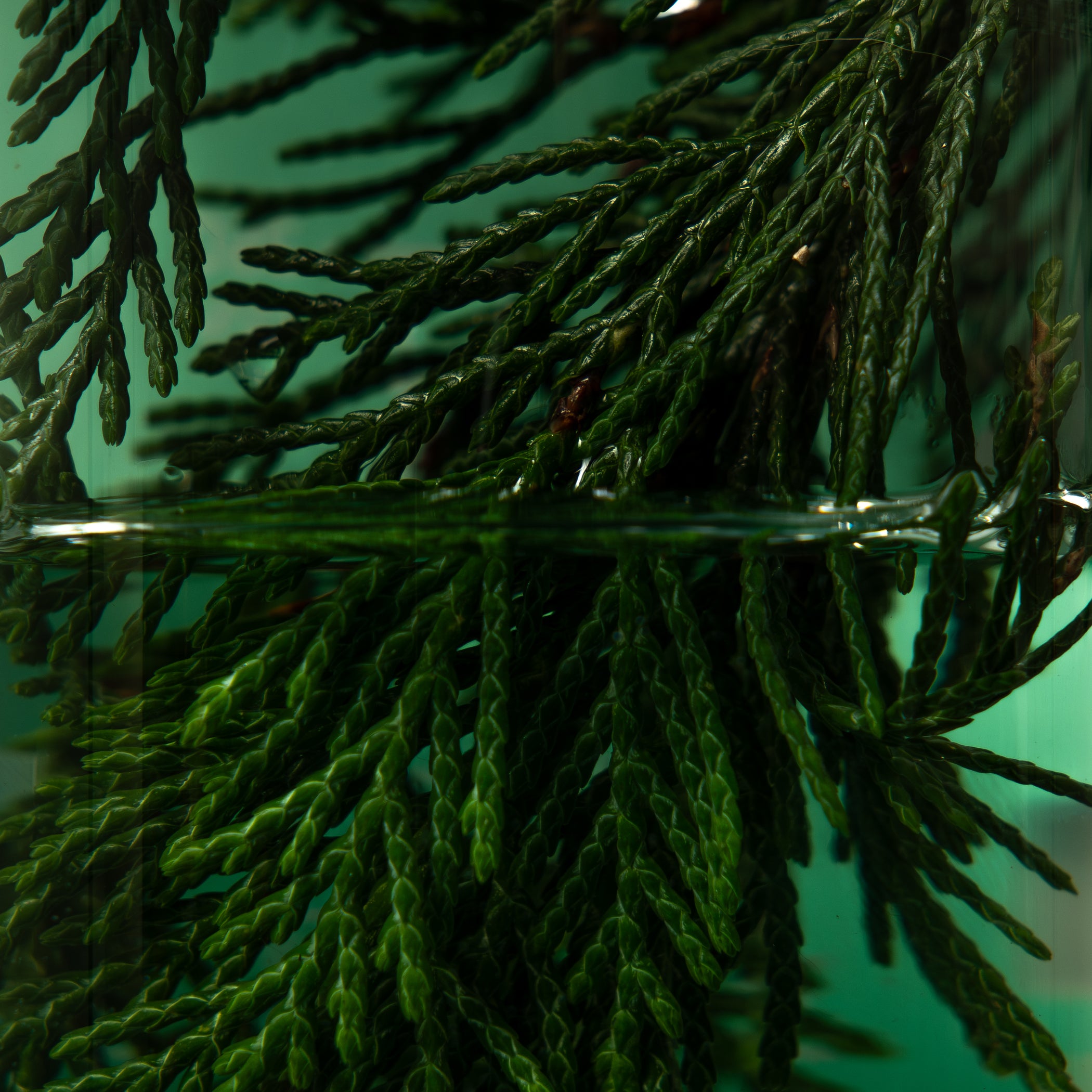 Before / After Candle