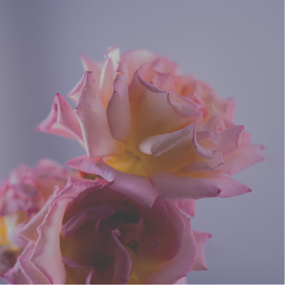 Dreamland Parfum Miniature