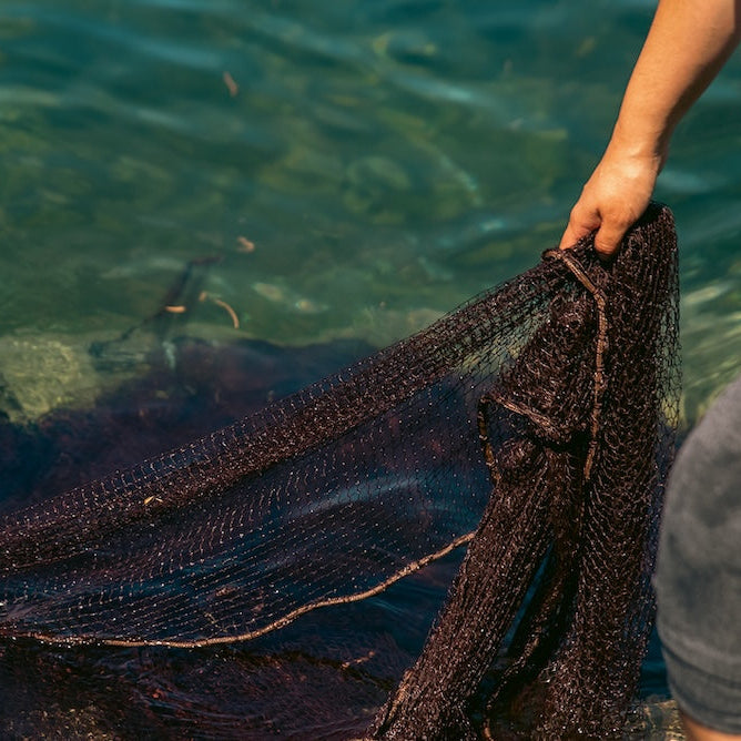 Person holding a fishing net over water