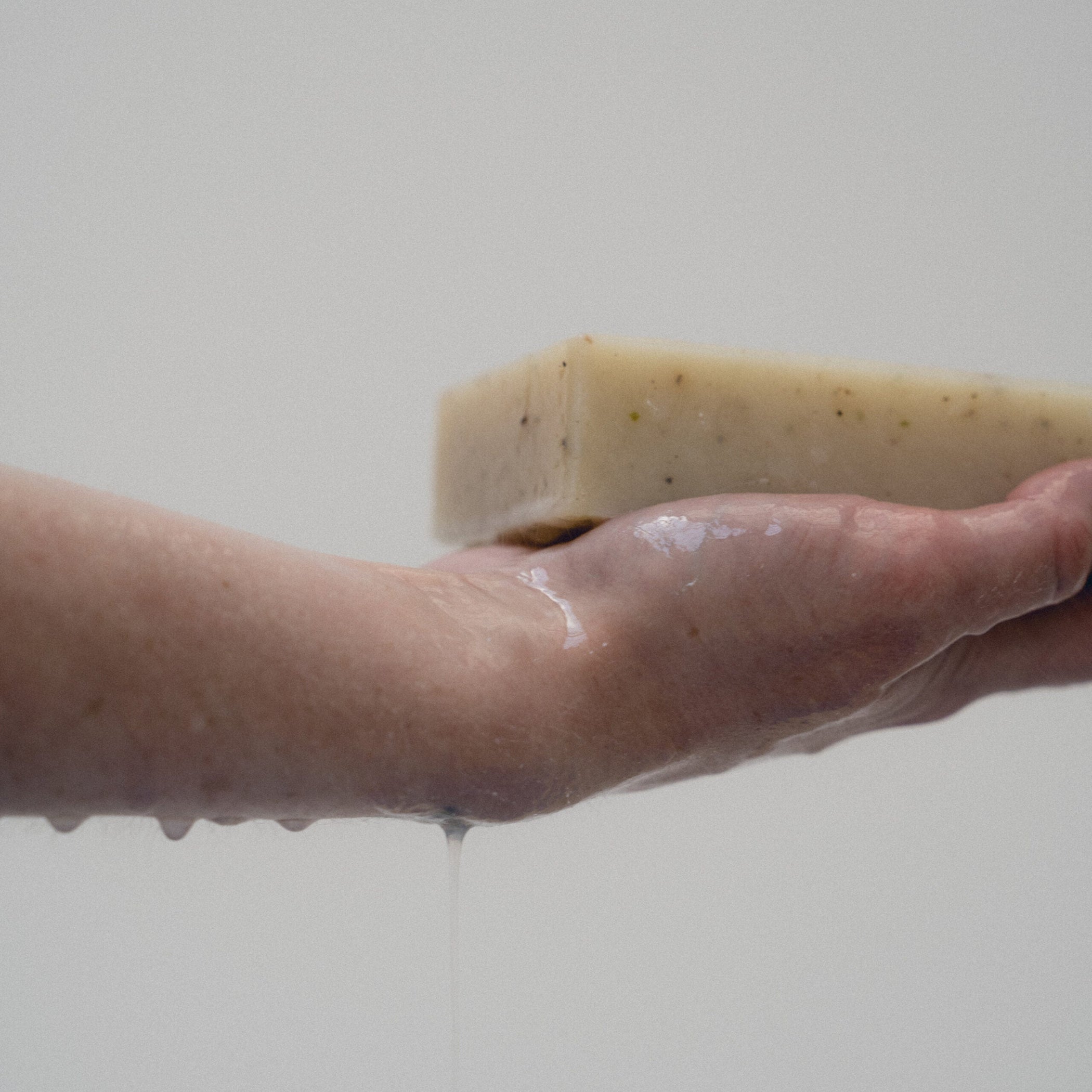 Exfoliating Seaweed Block