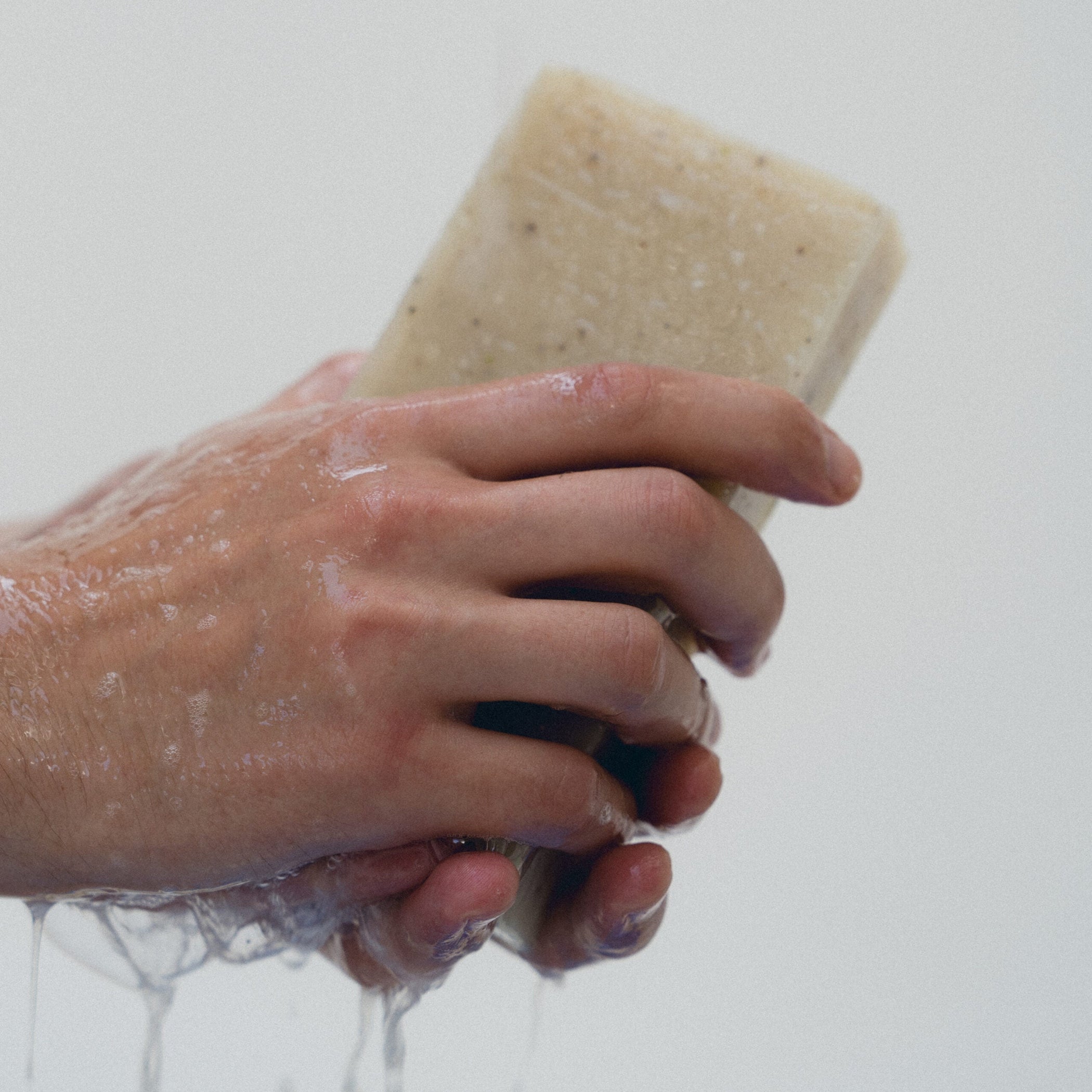 Exfoliating Seaweed Block