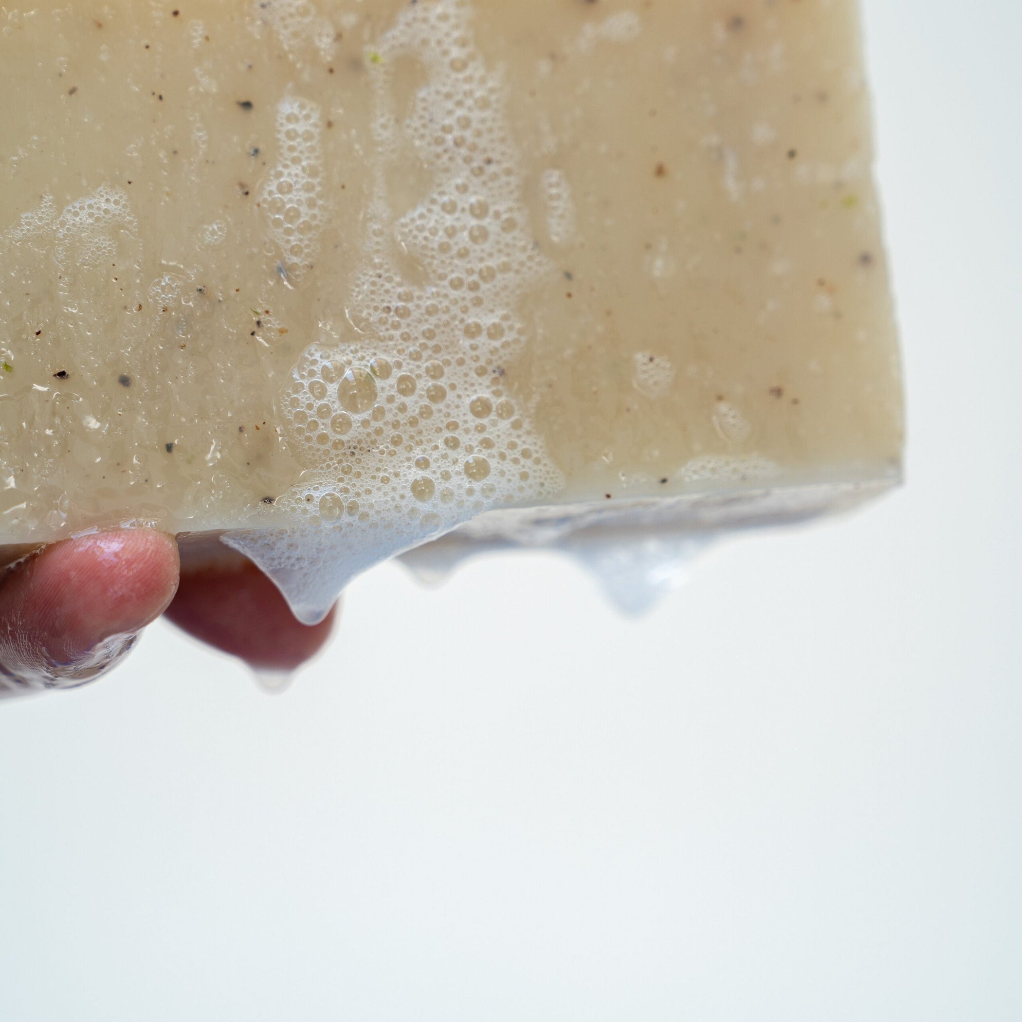 Exfoliating Seaweed Block
