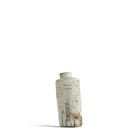 Dulcie Seaweed Solar Protect SPF 50+ 30mL bottle shown in a decomposed state to illustrate material breakdown