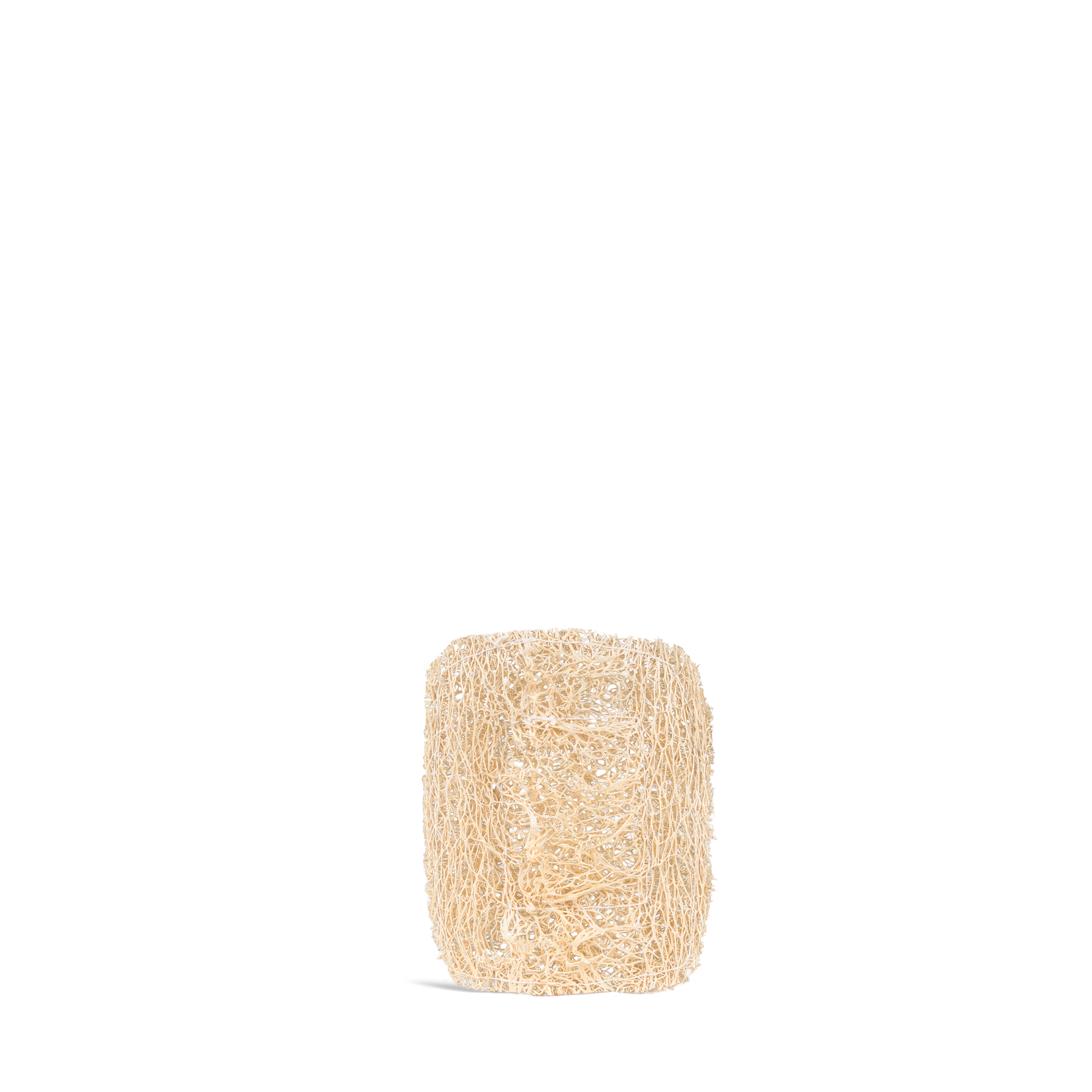 Luffa